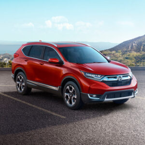 MAURITIUS A LA CAR   RENTAL