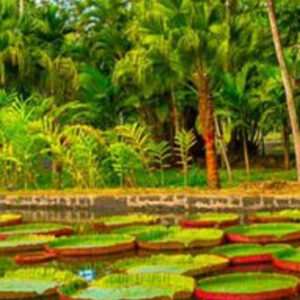 FULL DAY NORTH TOUR COASTAL AREA