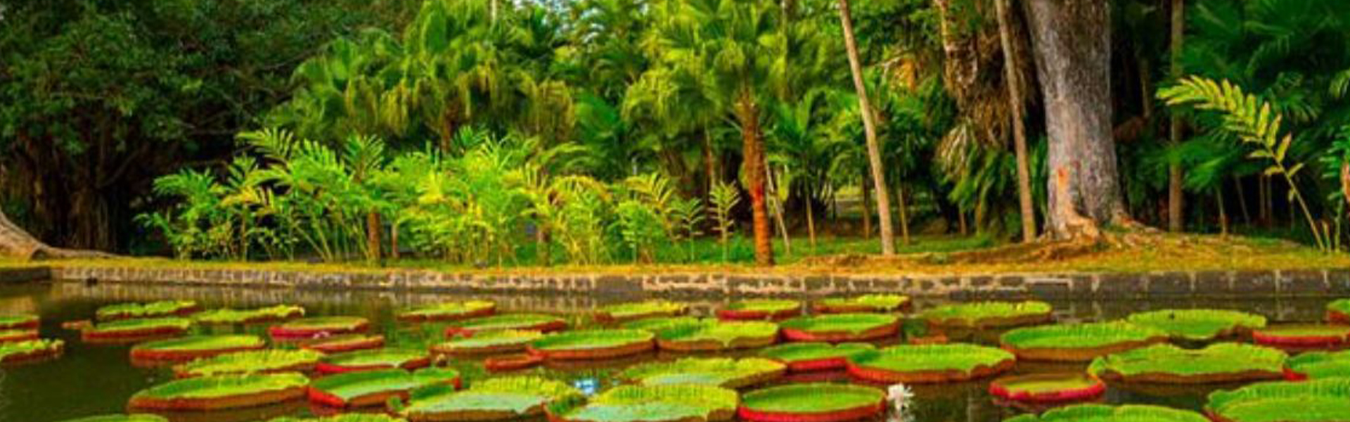 FULL DAY NORTH TOUR-COASTAL AREA