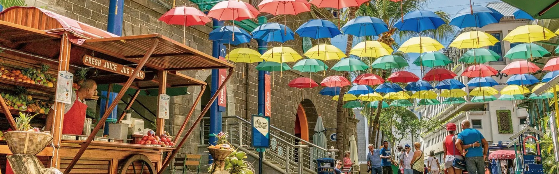 FULL DAY NORTH WEST TOUR PORT-LOUIS