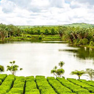 TEA ROUTE CENTER TOUR