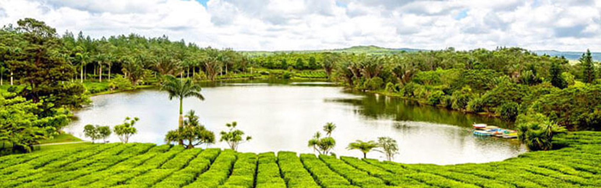 TEA ROUTE CENTER TOUR